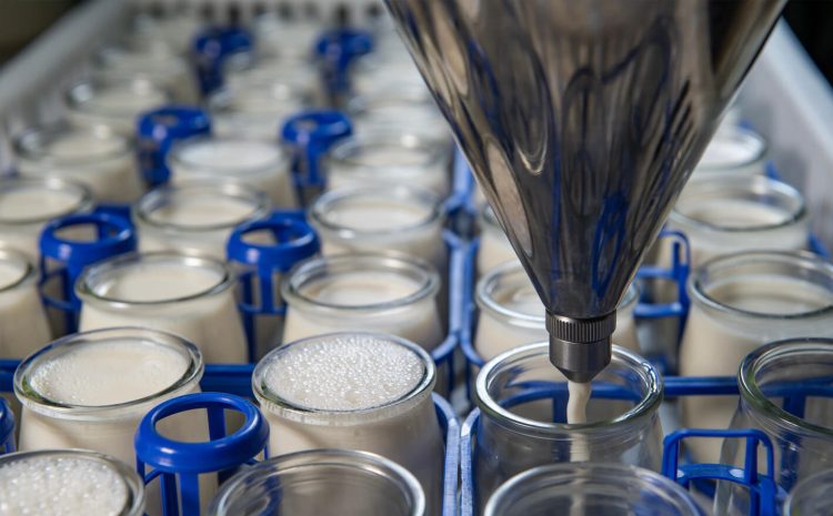 Industries-05-FMCG-Horizontal